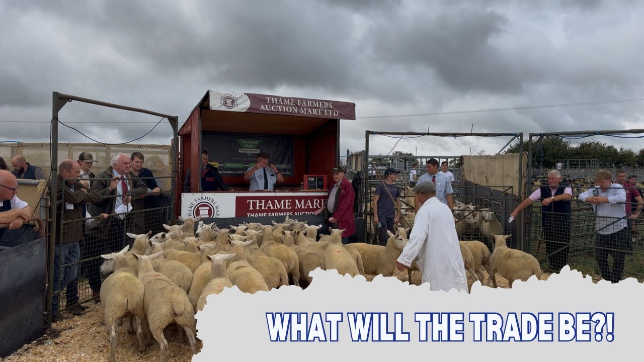 Hayvancılık Fuarında Ödül Kazandık